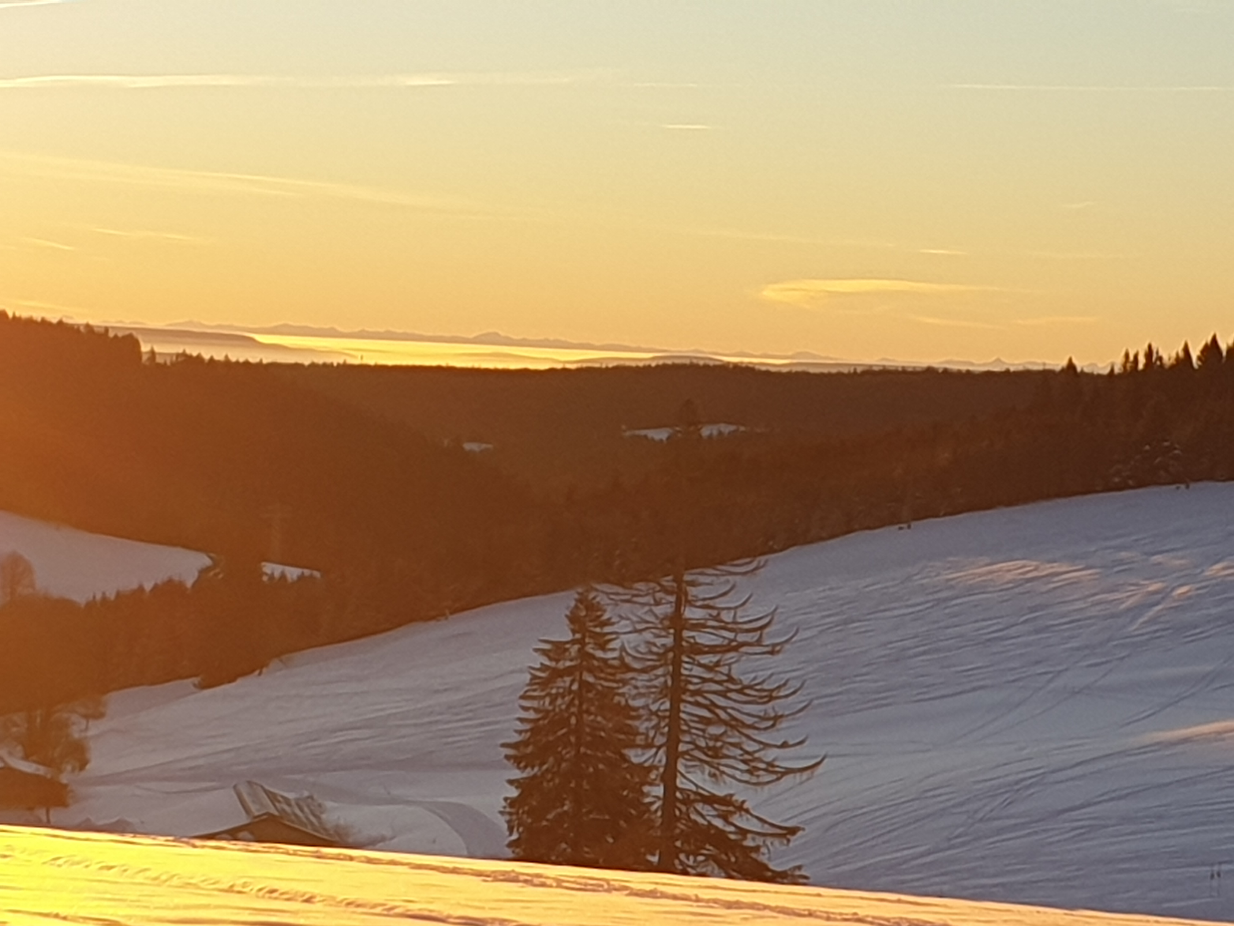 Oberkirnach Schloßberg Winter Sonnenaufgang3